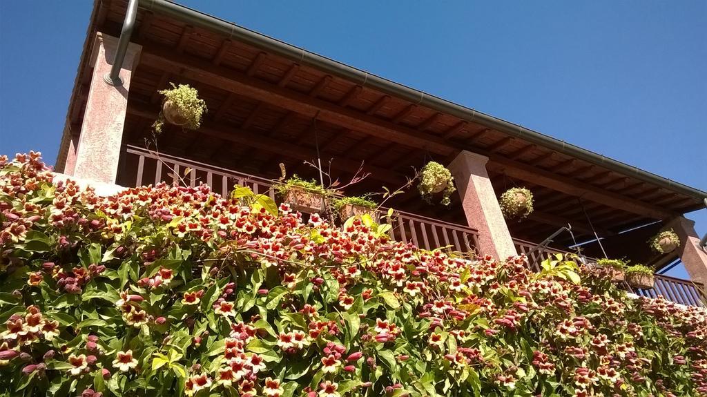 Bed And Breakfast Posserle Padenghe sul Garda Εξωτερικό φωτογραφία